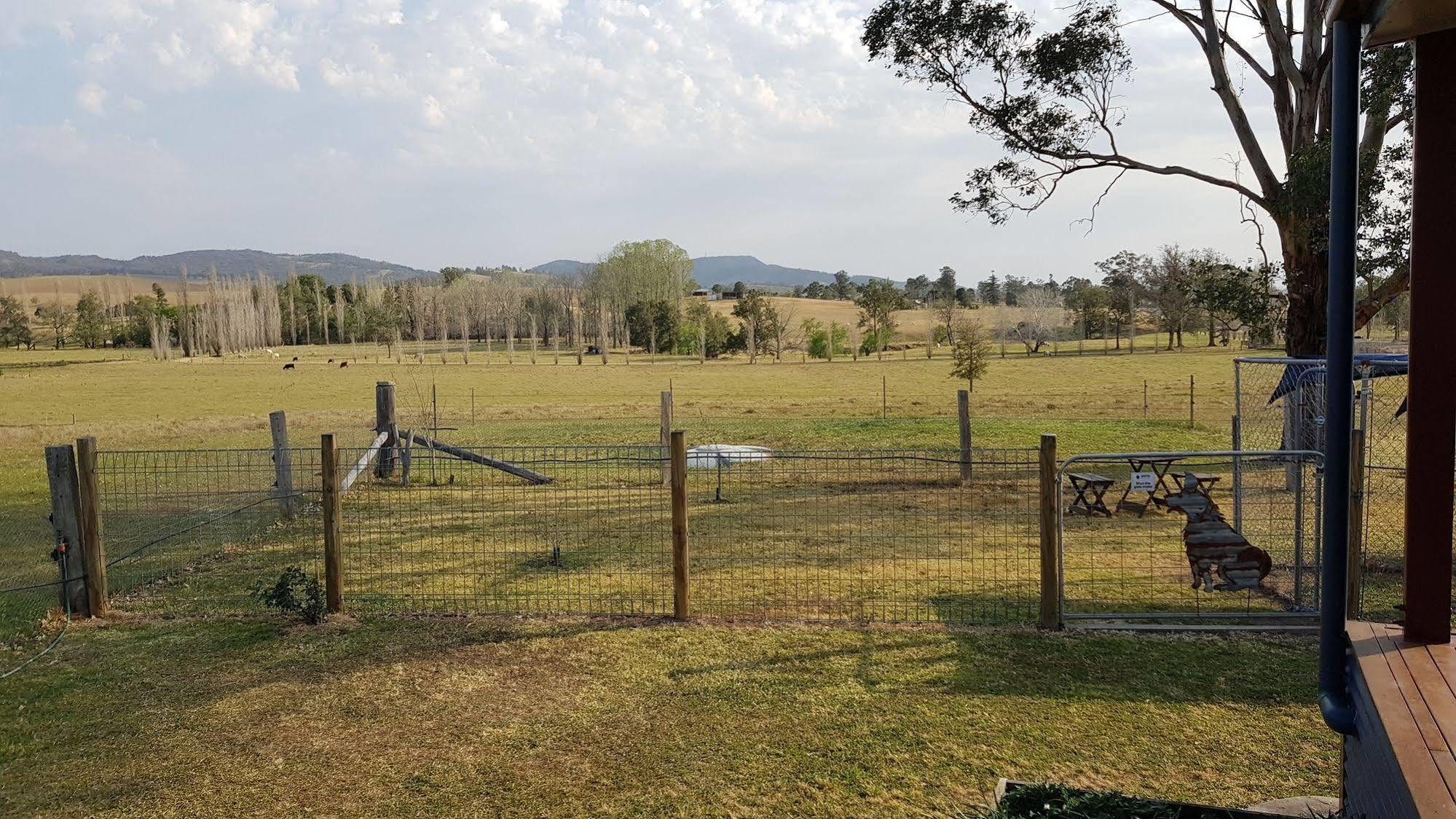 The Wattle Lodge Glendon Brook Exterior foto